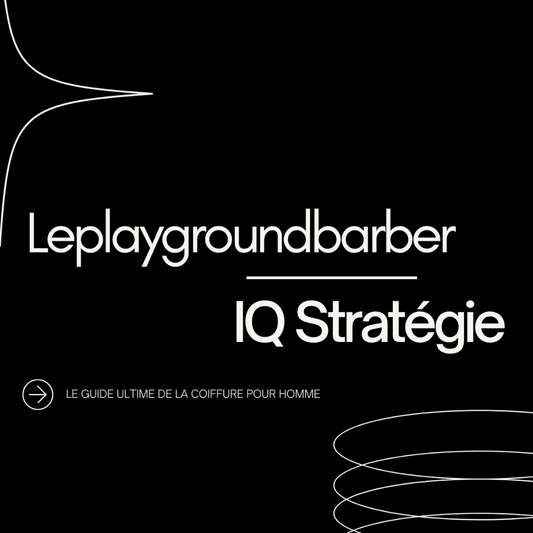 Ebook - IQ Stratégie
